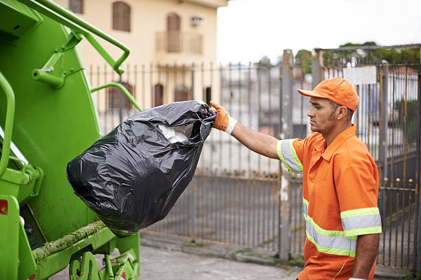 Best Dumpster Rental Services  in Palmview South, TX